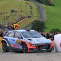 ADAC Rallye Deutschland, 2017, Thierry Neuville