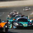 #22 Konrad Motorsport / Maxilmilian Hackländer / Sebastian von Gartzen / Ginetta / Circuit Zandvoort
