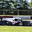 #14 MRS GT-Racing / Antti Rammo /  / Ligier JS P320 / Nürburgring