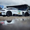 #3 Petru Umbrarescu (ROU) / Maximilian Götz (DEU) / Haupt Racing Team / Mercedes-AMG GT3 / Hockenheimring
