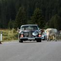 ADAC Trentino Classic, Facel Vega FV 3B
