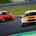 #6 / Eric Scalvini / Wimmer Werk Motorsport / Cupra Leon Competición TCR