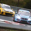 ADAC TCR Germany, Zandvoort, Profi-Car Team Honda ADAC Sachsen, Mike Halder