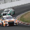 ADAC TCR Germany, Zandvoort, Prosport Performance, Max Hesse