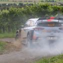 ADAC Rallye Deutschland, Hyundai Motorsport, Hayden Paddon