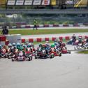 Minis begeisterten das Publikum