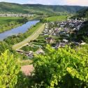 Weinberge, Rallye ADAC Mittelrhein
