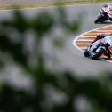 #73 MARQUEZ Alex / SPA / Gresini Racing MotoGP / DUCATI