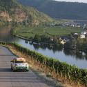 Idyllische Landschaft: Die quirligen Cup-ADAM vor der malerischen Mosel-Kulisse