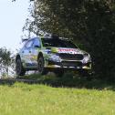 #1 Marijan Griebel (DEU) / Tobias Braun (DEU), Škoda Fabia RS Rally2
