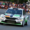 Sieger in Sachsen: Fabian Kreim im Skoda Fabia R5