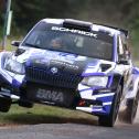 #1 Riedemann / Vanneste | Skoda Fabia R5