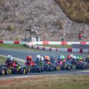 Volles Feld bei den Mini