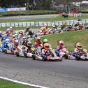 ADAC Kart Masters, Hahn