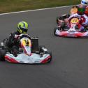 ADAC Kart Masters, Hahn