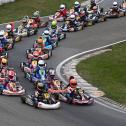 ADAC Kart Masters, Hahn