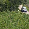 ADAC Rallye Deutschland, Andreas Mikkelsen, Volkswagen Motorsport