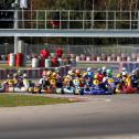 ADAC Kart Masters 2019, Wackersdorf 1