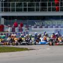 ADAC Kart Masters 2019, Wackersdorf 1