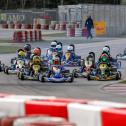 ADAC Kart Masters 2019, Wackersdorf 1