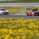 ADAC GT Masters, Oschersleben, Jens Klingmann, Dominik Baumann, BMW Sports Trophy Team Schubert