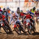 Lion Florian (239) errang zwei Startsiege im ADAC MX Youngster Cup