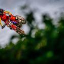 ADAC MX Masters