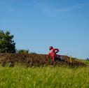 ADAC MX Masters
