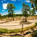 ADAC MX Academy, 2017, Frankenthal