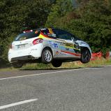 ADAC Rallye Deutschland, Roman Schwedt